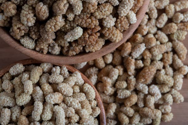 قیمت توت خشک سفید شیراز با کیفیت ارزان + خرید عمده